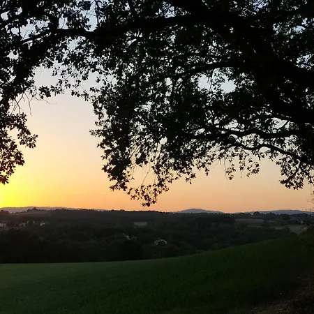 Les D'adelaide * Cahuzac-sur-Vere