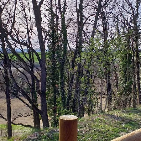 אכסניה Les D'adelaide