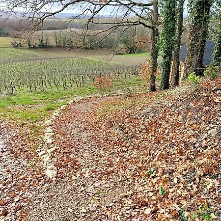 Les D'adelaide Lodge Cahuzac-sur-Vère